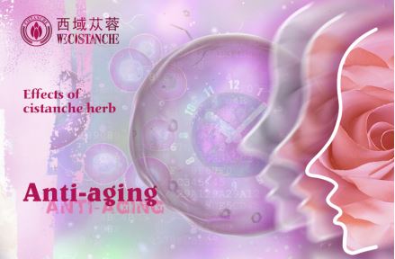benefits of cistanche for women:anti-oxidation and anti-aging benefits of cistanche for women:anti-oxidation and anti-aging