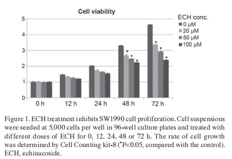 ECH treatment inhibits SW1990 cell proliferation. Cell suspensions were seeded at 5,000 cells per well in 96-well culture plates and treated with different doses of ECH for 0, 12, 24, 48 or 72 h. The rate of cell growth was determined by Cell Counting kit-8 (* P<0.05, compared with the control). ECH, echinacoside. ECH treatment inhibits SW1990 cell proliferation. Cell suspensions were seeded at 5,000 cells per well in 96-well culture plates and treated with different doses of ECH for 0, 12, 24, 48 or 72 h. The rate of cell growth was determined by Cell Counting kit-8 (* P<0.05, compared with the control). ECH, echinacoside.