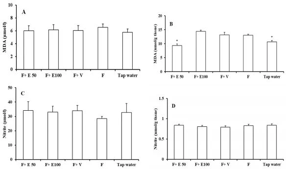 Figure 2. Evaluation of MDA`s serum level (A), kidney level of MDA (B), serum level of nitrite (C) and kidney level of nitrite (D). The groups received, tap water, fructose (F), Fructose+ eugenol 50 mg/kg (F+E 50), Fructose+ eugenol 100 mg/kg (F+ E100) and Fructose+ almond oil (F+V). * Significant differences compared to fructose and fructose+ almond oil group (P<0.05) Figure 2. Evaluation of MDA`s serum level (A), kidney level of MDA (B), serum level of nitrite (C) and kidney level of nitrite (D). The groups received, tap water, fructose (F), Fructose+ eugenol 50 mg/kg (F+E 50), Fructose+ eugenol 100 mg/kg (F+ E100) and Fructose+ almond oil (F+V). * Significant differences compared to fructose and fructose+ almond oil group (P<0.05)