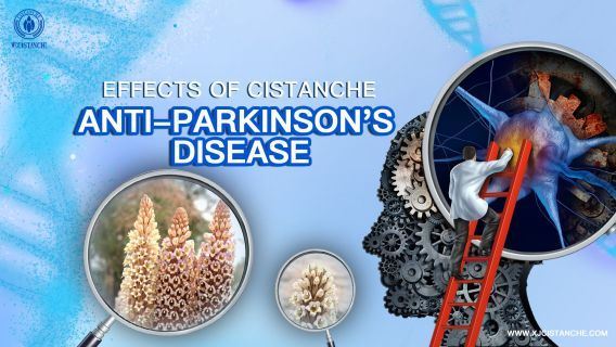 cistanche-neuroprotection6 cistanche-neuroprotection6