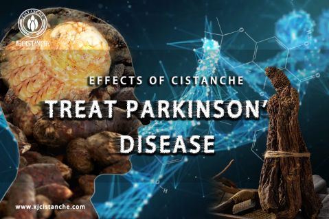 cistanche-neuroprotection7 cistanche-neuroprotection7