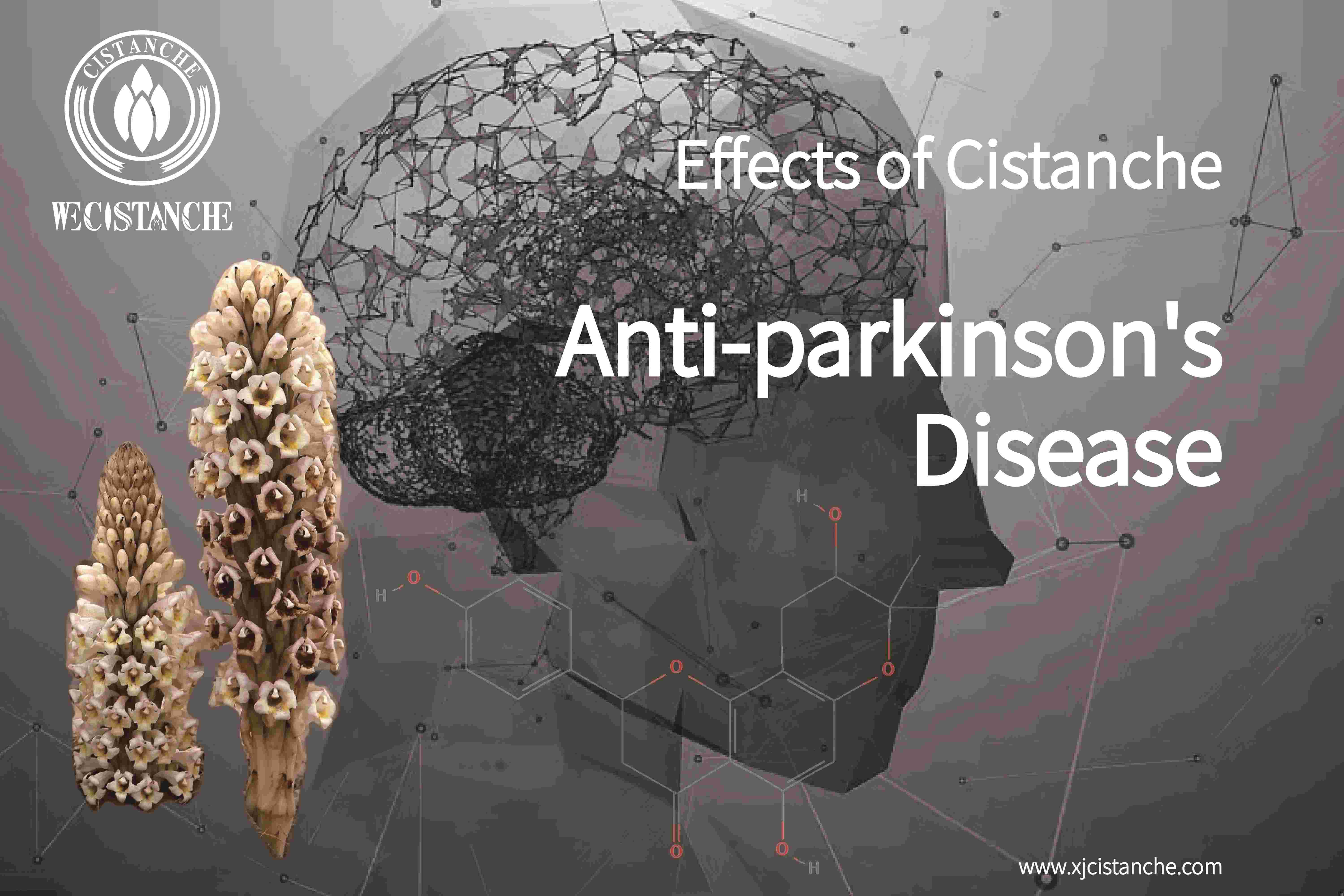 how to prevent parkinson's disease how to prevent parkinson's disease