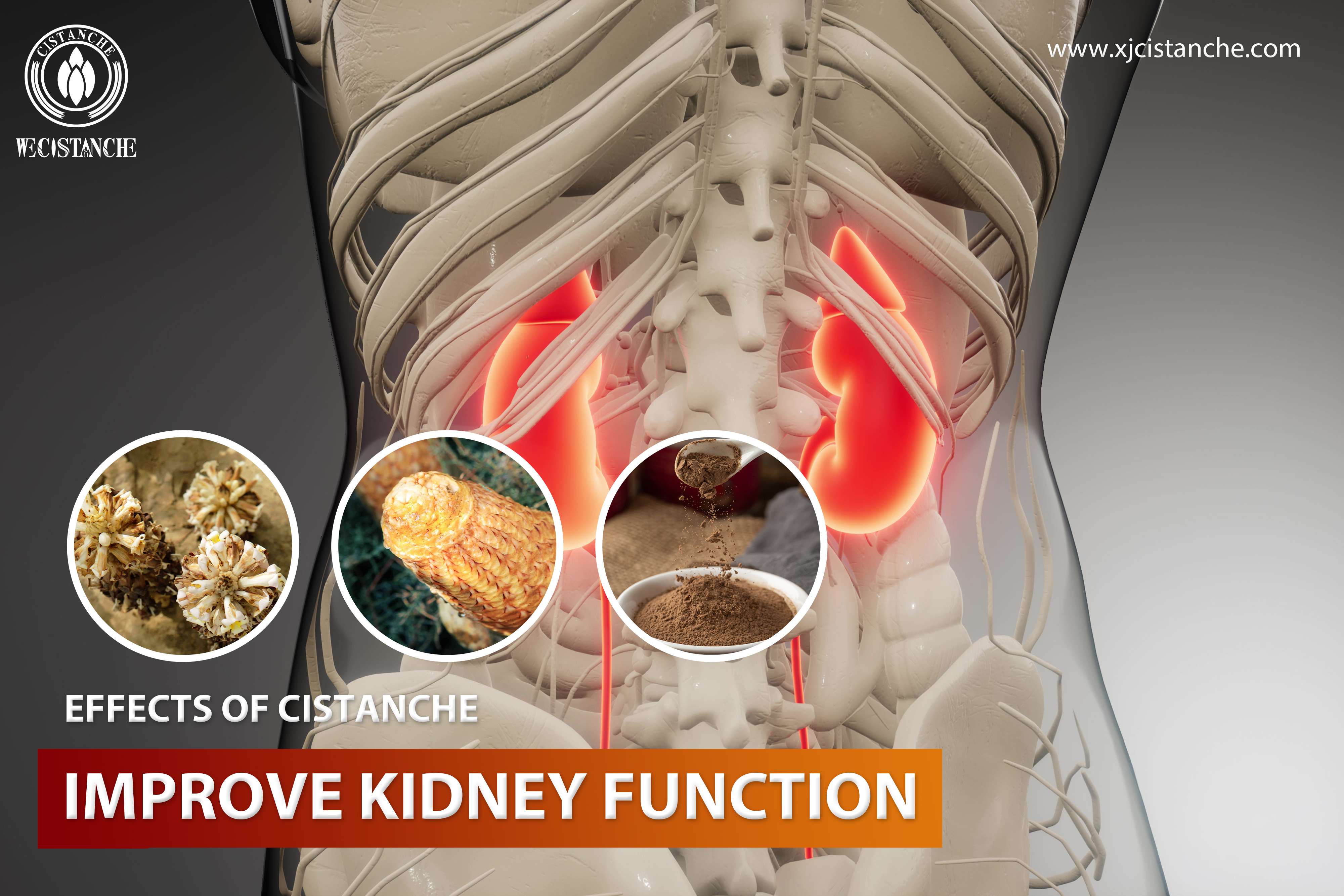 best herb for kidney