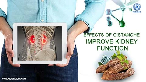best herb for curing uremia best herb for curing uremia