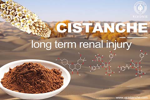 Best herbs  for reducing creatinine