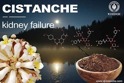 cistanche type 2 diabetes