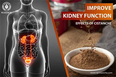 improve kidney function improve kidney function