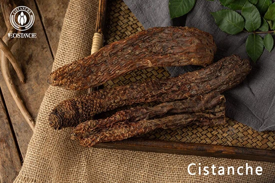 Cistanche deserticolachinese herb cistanche