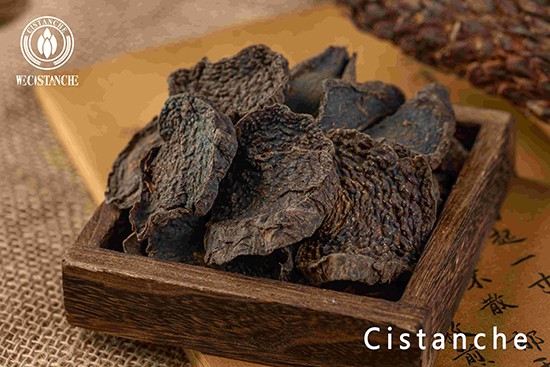 Cistanche deserticola slice (11)