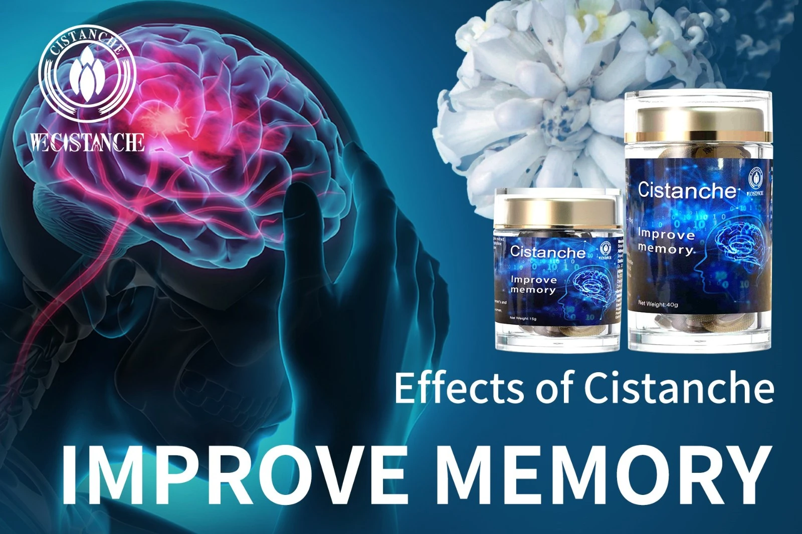 cistanche tubulosa extract