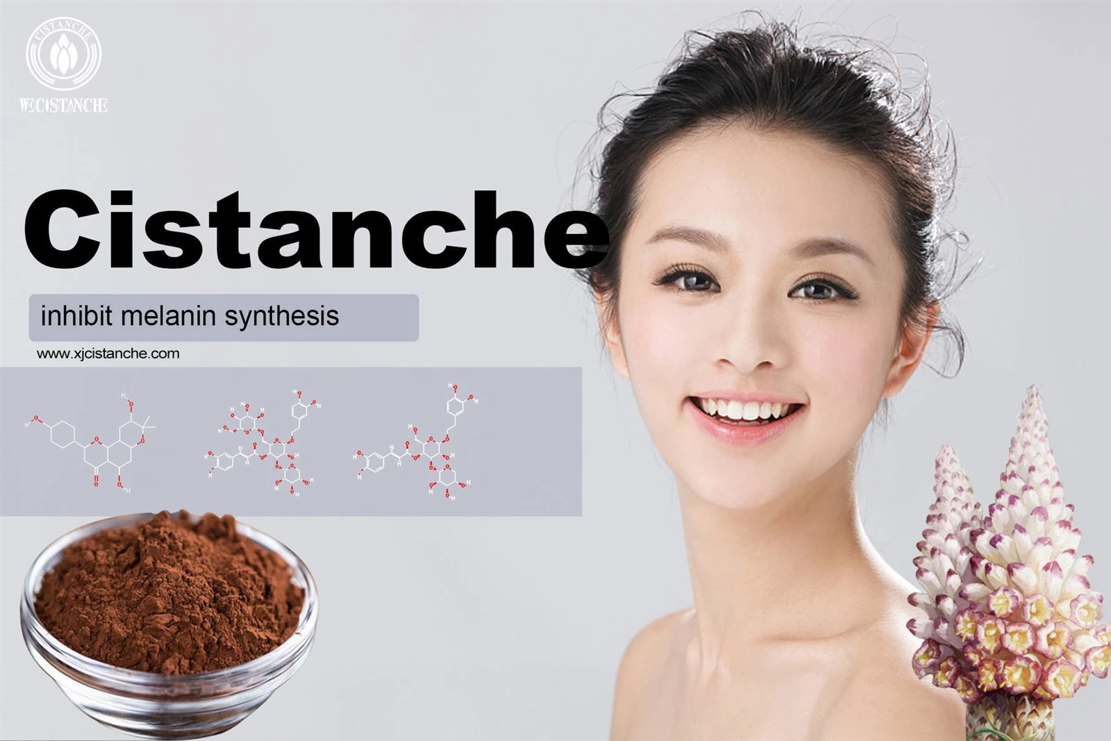 maca ginseng cistanche sea horse maca ginseng cistanche sea horse