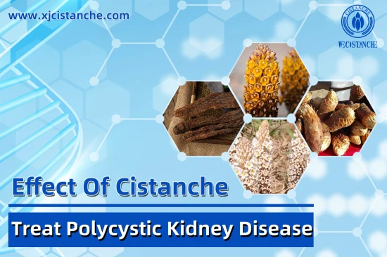 BEST HERBS FOR KIDNEY DISEASE TREATMENT