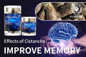 increase brain power increase brain power