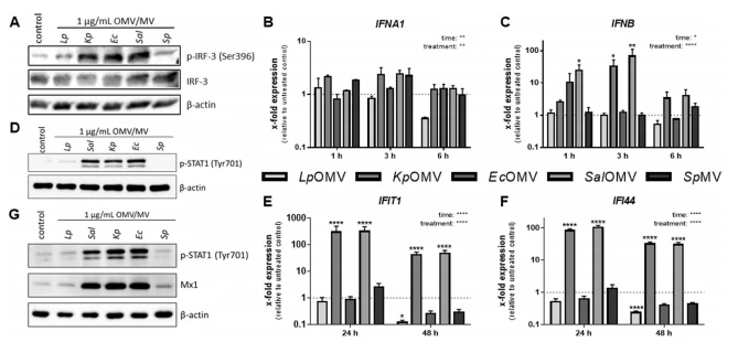 Fig. 2 Fig. 2