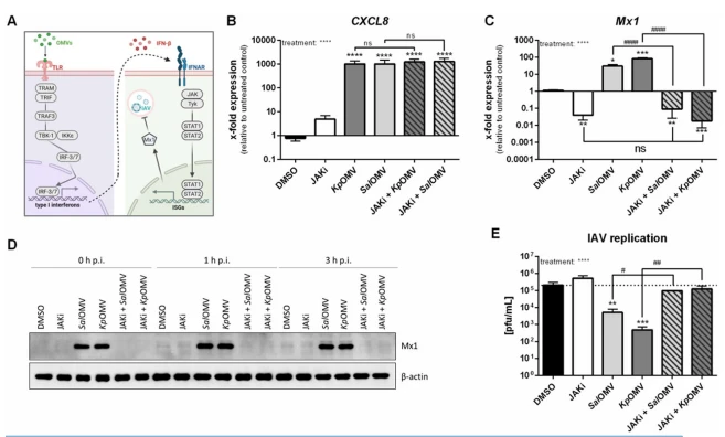Fig. 4 Fig. 4