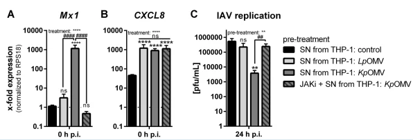 Fig. 7 Fig. 7