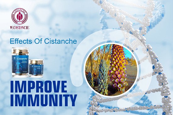 Cistanche deserticola—improve immunity (3)