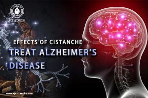 improve short term memory