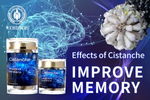 improve cognitive function