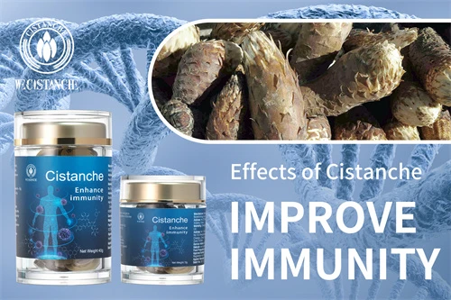 cistanche tubulosa for improving memory and immunity cistanche tubulosa for improving memory and immunity