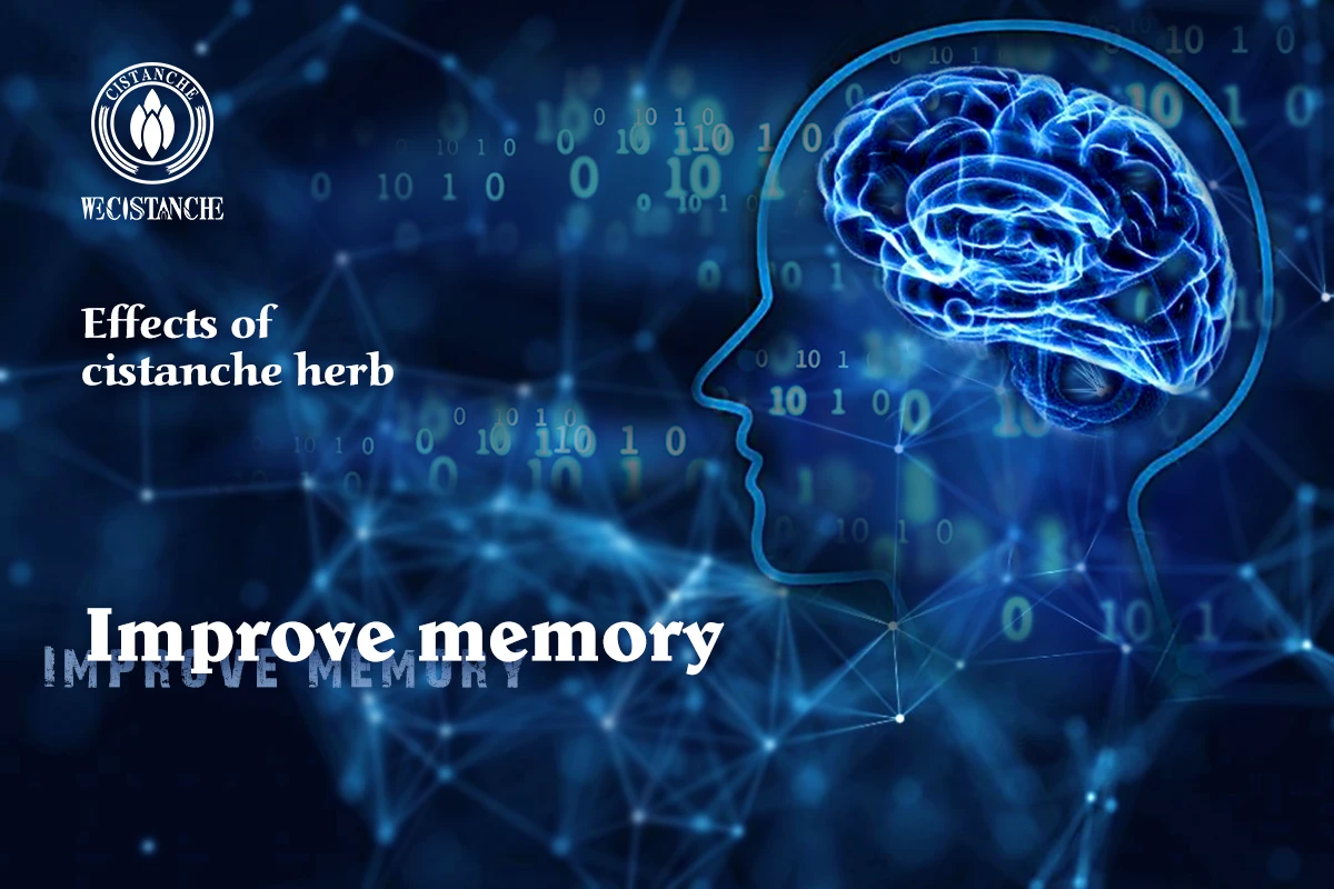 cistanche tubulosa for improving memory and immunity cistanche tubulosa for improving memory and immunity