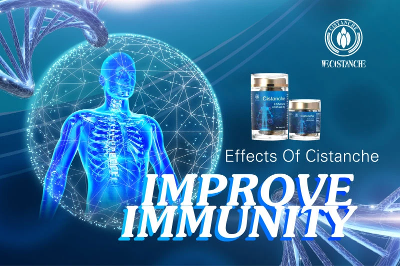 Desert ginseng-Improve immunity (4)