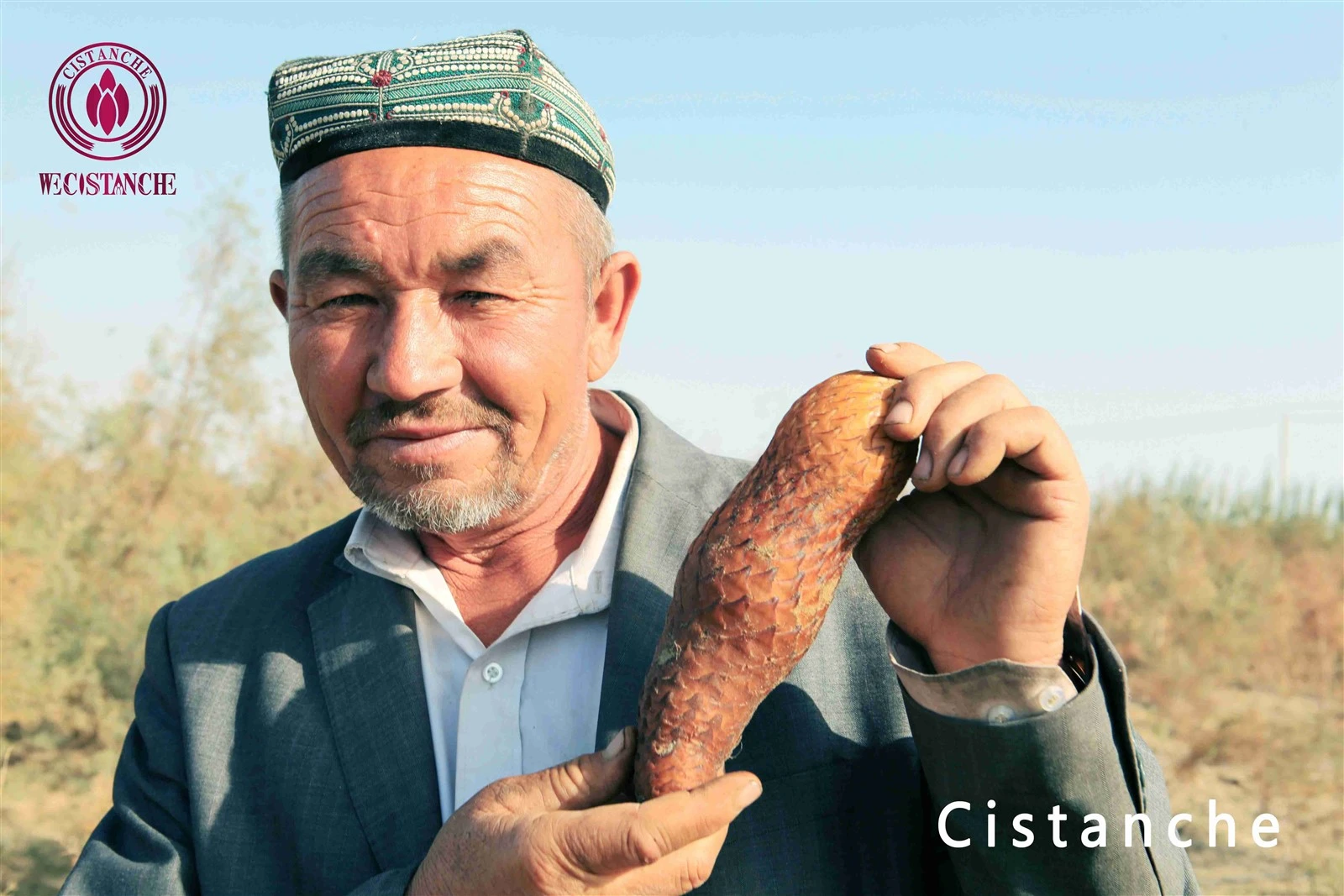 Cistanche tubulosa for your health