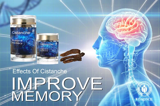 cistanche-Improve memory2