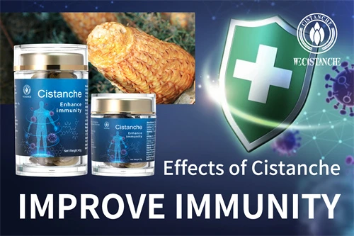 cistanche tubulosa for improving immunity