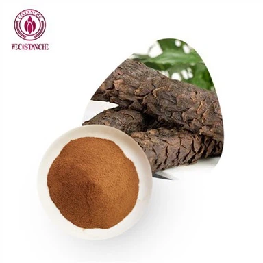 Testosteron uchun Cistanche