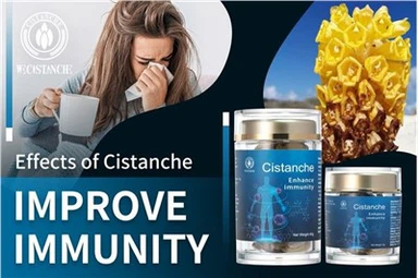 Cistanche Tubulosa immunitetni kuchaytiruvchi vosita