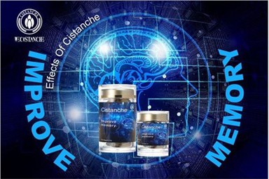 Cistanche Tubulosa qo'shimchasi xotirani yaxshilaydi